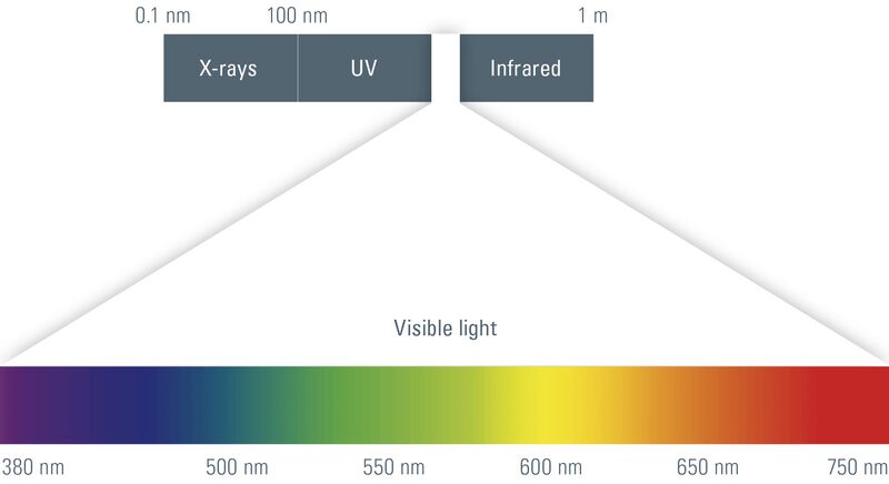 The spectrum of visible light