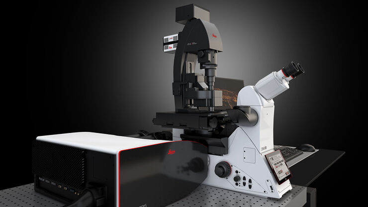 DLS Microscope STELLARIS - Digital Light Sheet
