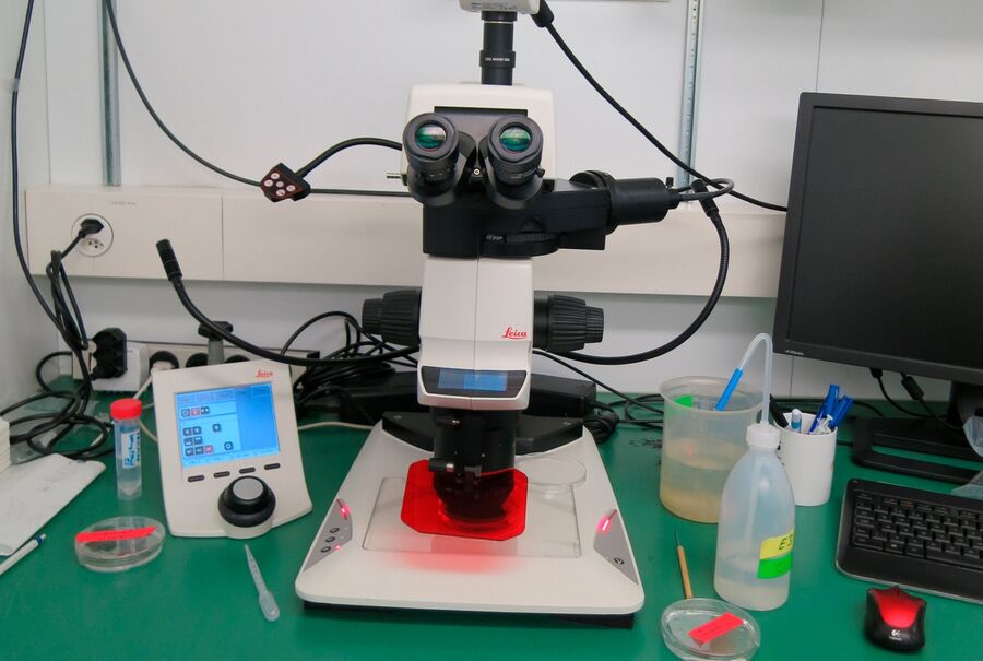 Leica M205 FA stereo microscope with TL5000 Ergo transmitted light base which is routinely used for imaging and high resolution fluorescence screening.