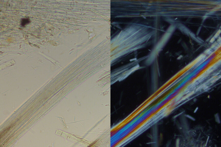 Fibrous actinolite imaged with parallel and crossed polarizers