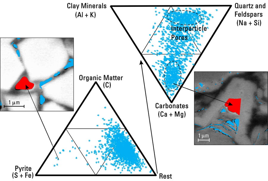 Ternary graph to display the association of pores with specific minerals. The results are based on EDS data and the interpreted mineralogy. The term “Rest” indicates fossil plus other grains.