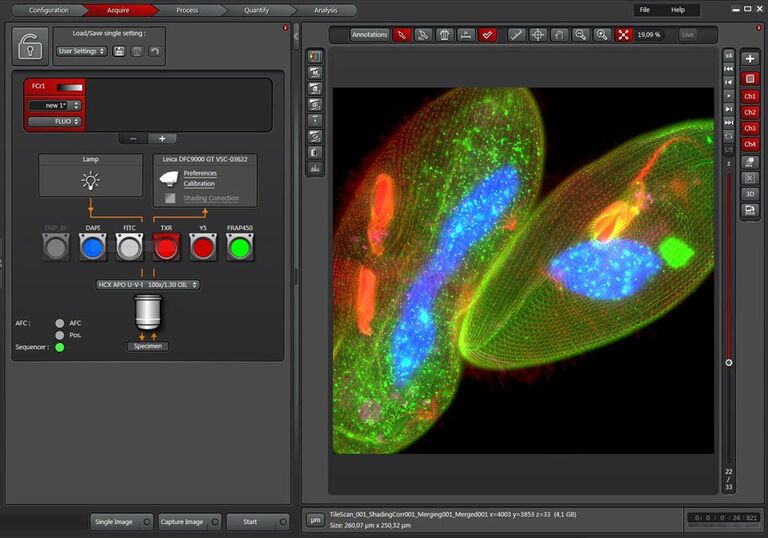 LAS X oferece um projeto baseado no fluxo de trabalho que irá orientá-lo desde a captura à análise da imagem, para simplificar projetos de experimentos complexos.