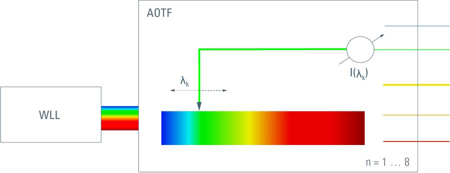An acousto-optical tunable filter is employed to extract a series of variously colored bandlets from the white emission of the supercontinuum source. These bandlets are tunable both in color and intensity. The simultaneous use of a number of bandlets is required for parallel excitation of multiply stained samples.