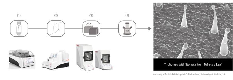 [Translate to french:] Standard SEM Workflow