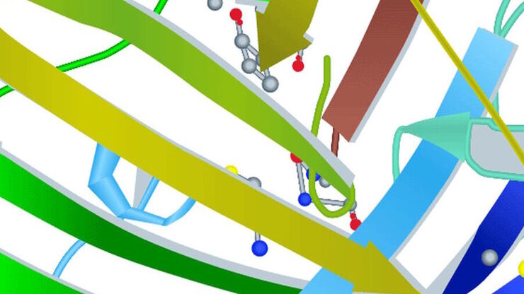 Molecular structure of the green fluorescent protein (GFP)