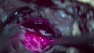 GLOW400 AR Fluorescence in anatomy view, image courtesy of Prof. Kondo