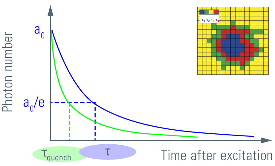 Plotting the fluorescence photon number over elapsed time after excitation. 