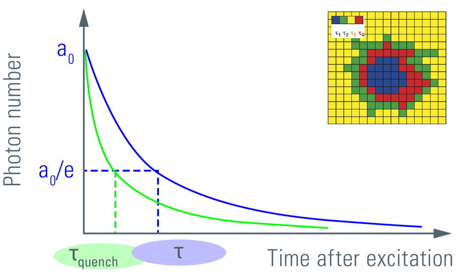 Abbildung 6: Verlauf der Photonenzahl der Fluoreszenz nach der Anregung über die verstrichene Zeit. Die anfängliche Anzahl der emittierten Photonen nach dem Anregungspuls, a0, fällt exponentiell ab. Die Fluoreszenz benötigt Zeit, um auf a0/e (~37%) abzuklingen, was der Fluoreszenzlebensdauer entspricht. Die Lebensdauer τ verschiebt sich aufgrund von FRET zu kürzeren Zeiten (τquench). Ein weiterer Indikator für den Abbau der Lebensdauer ist die Amplitude a0. Die Messung der Lebensdauer an jeder Position in einem Scan-System ergibt eine räumliche Karte der Lebensdauer (siehe Inset).