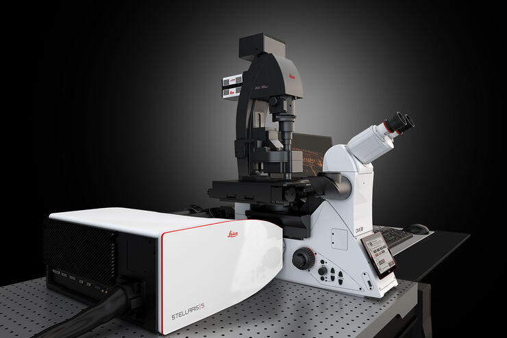 STELLARIS 8 FALCON FLIM Microscope | Products | Leica Microsystems