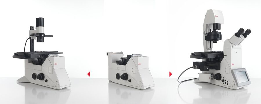 Leica DMi8 can be configured according to the researchers needs