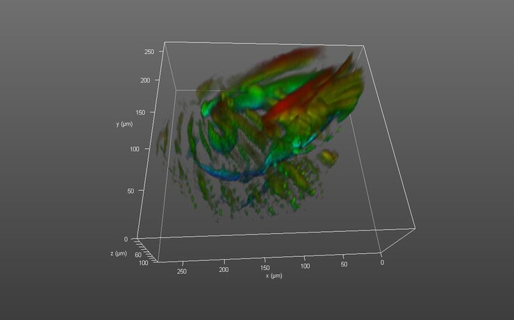 3D-Visualisierung in Echtzeit