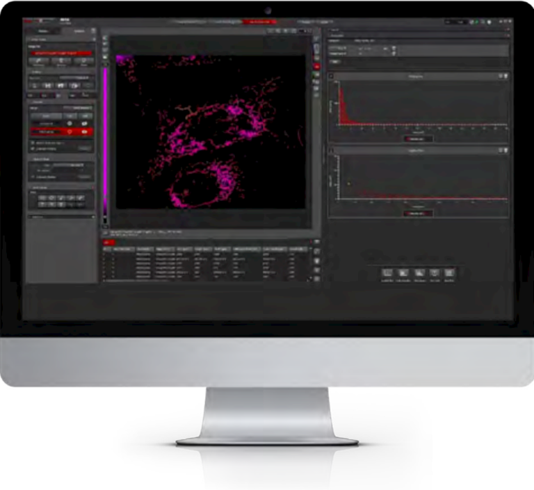 U2OS細胞には、SiR-Actin、TMRE(ミトコンドリア活性)、CellEvent™(カスパーゼ活性)、およびDAPI(核)がラベル付けされました。 63倍の倍率、広視野モード。