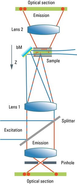 Llight path of a coherent fusion for true confocal scanning and vertical-turn light sheet scanning. 