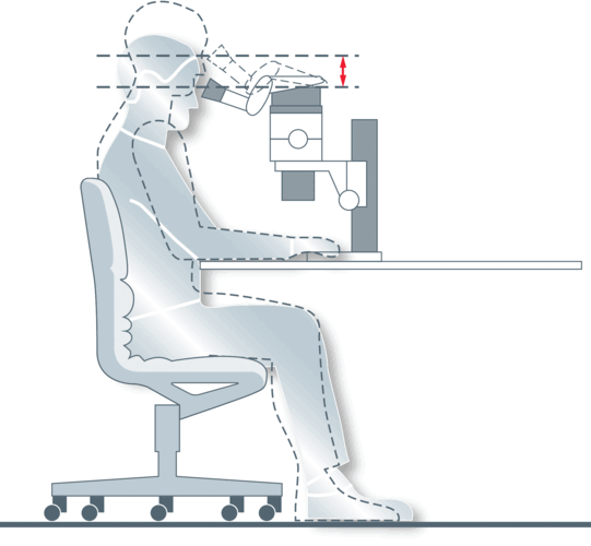 The ErgoTube eyepiece tubes allow users to keep the body and head in a relaxed position with the arms well supported, have adequate space for the legs, and sit comfortably in a chair. 