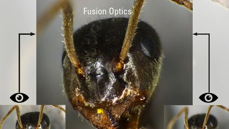 Csm Csm Fusion Optics LSR Ad13109def