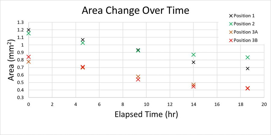 Plot showing the recovery of the cell monolayer over time