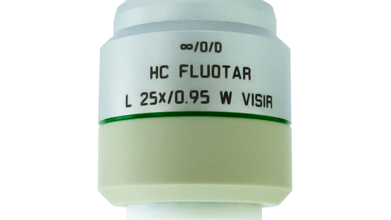HC FLUOTAR L 25x/0,95 W VISIR