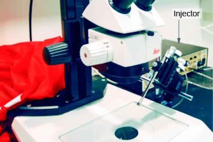 Fig. 8: M50 with TL3000 ST base, manipulator and injector used for transgenesis in a zebrafish lab (Courtesy of Cell Observatory, University of Leiden, Netherlands).