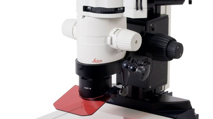 MZ10F for Fluorescence Sorting