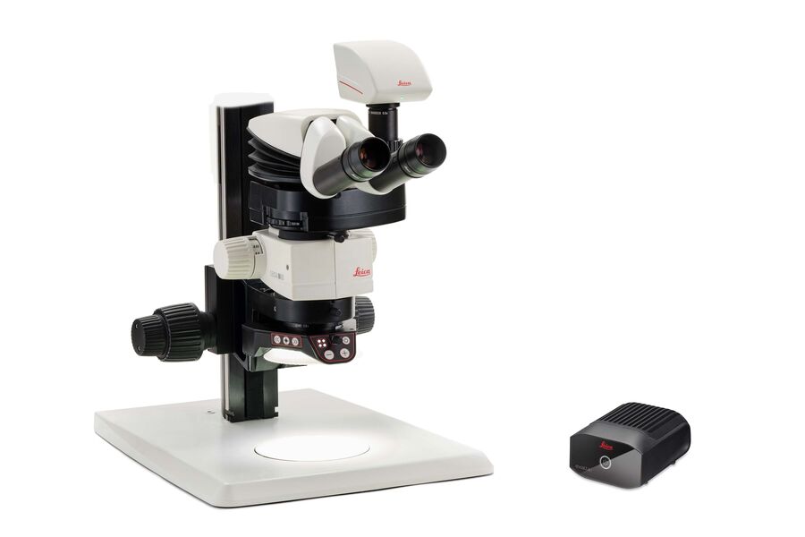 [Translate to french:] M60 stereo microscope