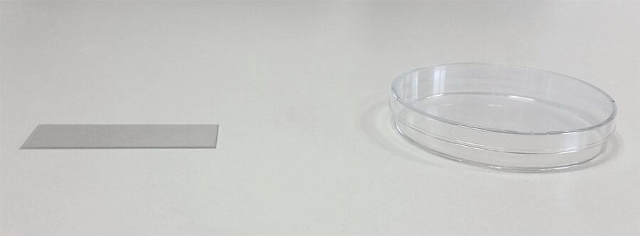 Glass slide and Petri dish