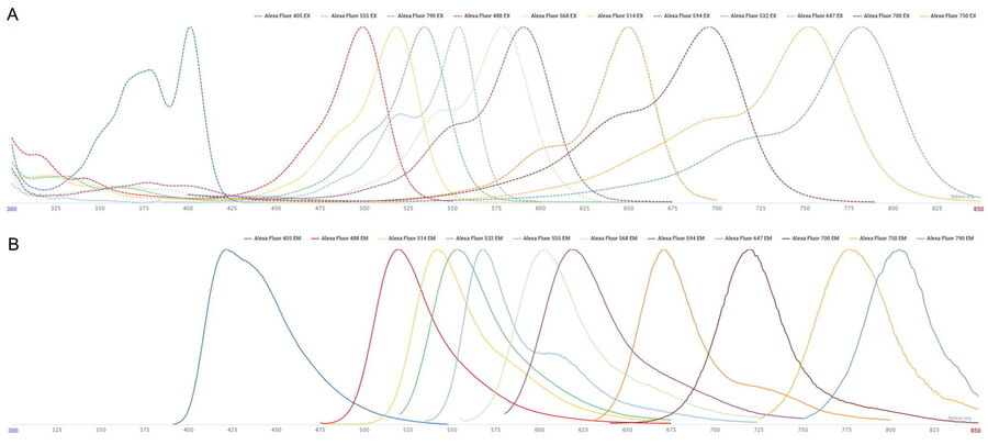 Excitation (A) and emission (B) spectra of Alexa Fluor dyes coupled to beads used in this article.