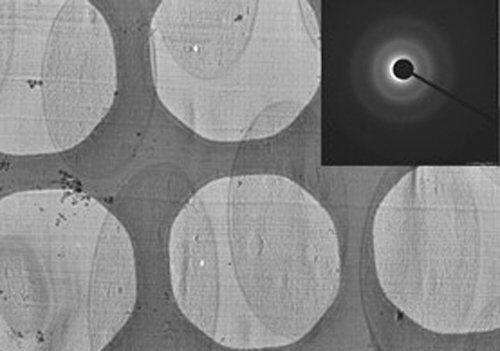 CEMOVIS of Saccharomyces cerevisiae (courtesy of Al-Amaudi A, DZNE, Bonn); related instrument: Leica EM SPF.