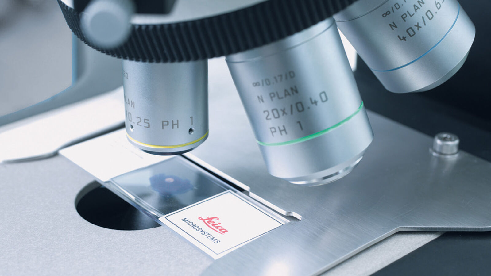 Microscope Objective Lens Products Leica Microsystems