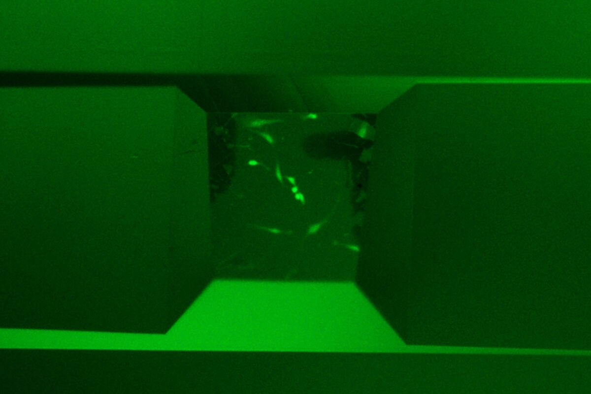 How to Automatically Obtain Fluorescent Cells of Interest in a Block ...