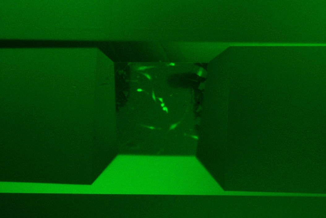 Block-face created by automatic trimming under fluorescence. Mammalian cells of interest, stained with CellTrackerTM Green are visualized within the block-face using the UC Enuity equipped with the stereo microscope M205 FA. In the background a carbon finder grid in black is visible. All samples in the article are created by Felix Gaedke, PhD, CECAD, Cologne, Germany. Block_face_created_by_automatic_trimming_using_fluorescence.jpg