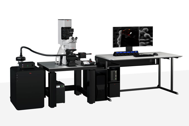 Microscope confocal optique STELLARIS 5 Cryo