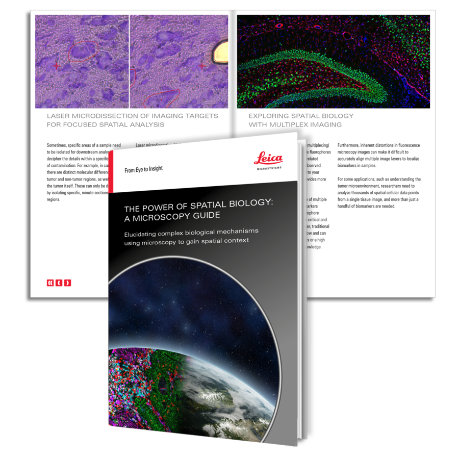 Images ebook Spatial Biology