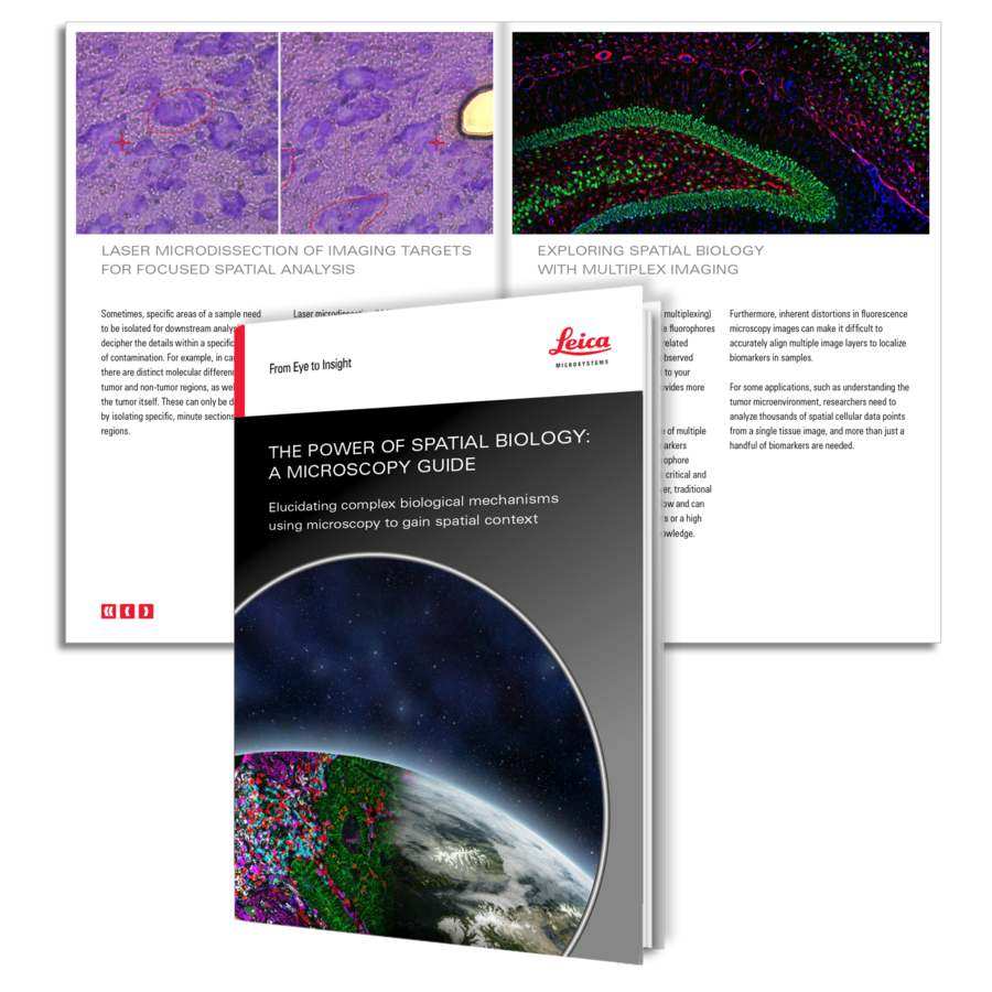 Images ebook Spatial Biology Images ebook Spatial Biology