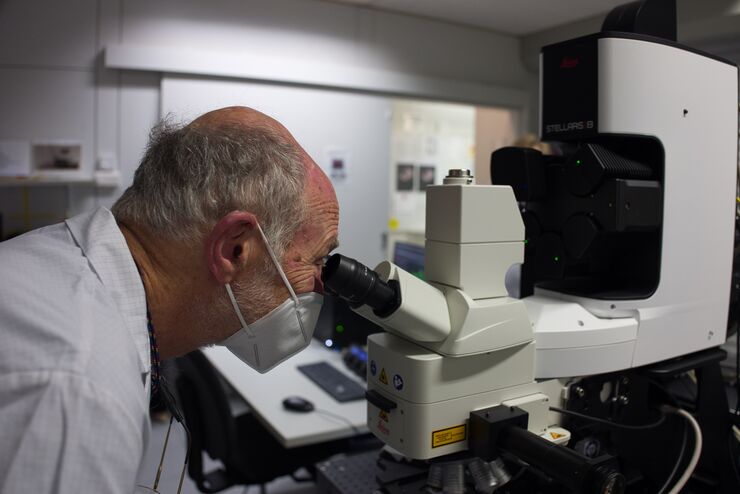 Prof. Rosbash using Stellaris Microscope
