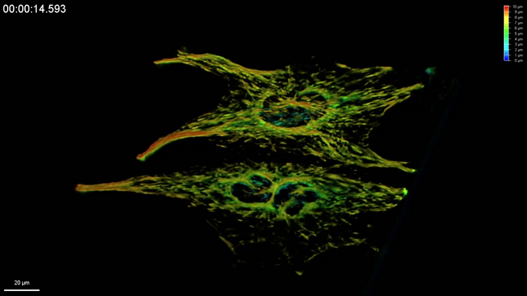 Csm Snap U2OS EB3 Baojin Image13 Crop DepthCoding 1 2fa81ce749