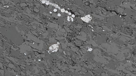 Oil shale (nano pores), revealed with the Leica EM TIC3X (rotary stage) total sample size ∅ 25 mm