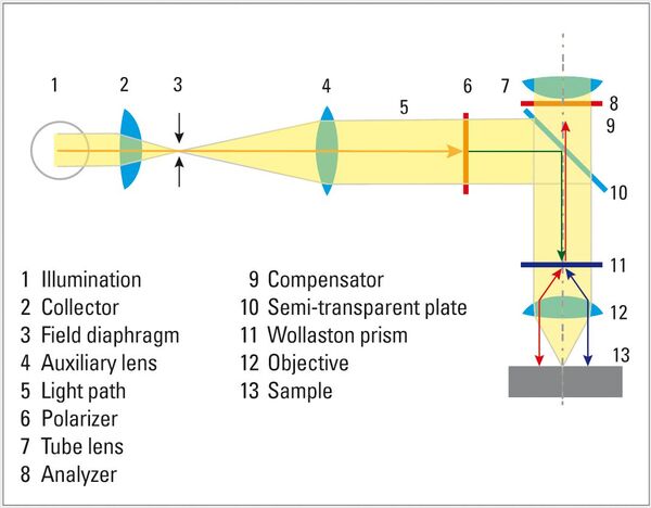 Differential Interference Contrast (DIC): DIC visualizes height and phase differences. A Wollaston prism splits polarized light into an ordinary and an extraordinary wave. These waves vibrate at right angles to each other, propagate at different rates and are physically separate. This results in a 3D image of the sample surface, although no real topographical information can be derived from it.