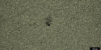 Elettrodo della batteria che mostra un difetto nel foro. Immagine acquisita con illuminazione in campo scuro e microscopio composto Leica.
