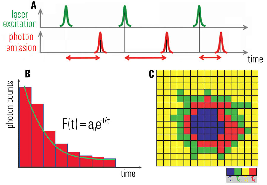 Fig.1: A) Diagram showing the repeated measurement of the fluorescence photon arrival time