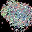 Large volume computational clearing processed Thunder image of human pancreatic islet organoid. 