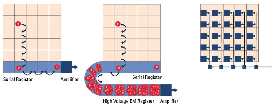 Figure 14: Camera sensors: Left) CCD: incoming light (photons) hits the image sensor generating electrons. These are transported pixel by pixel to the serial register and run through an amplifier. Normally, the generated voltage is converted by an AD converter (not shown) to a digital image signal. Middle) EMCCD: light-induced electrons within an EMCCD are transported to the serial register. On the way to the amplifier, they pass an additional register, the electron multiplication (EM) register, where the number of electrons is increased by up to 1000 times. Right) CMOS: each pixel of a CMOS sensor has its own amplifier. Each column has an additional amplifier and an analog-digital converter at each side (not shown). This architecture can speed up readout, because electrons don't have to pass single downstream pixels to the serial register.