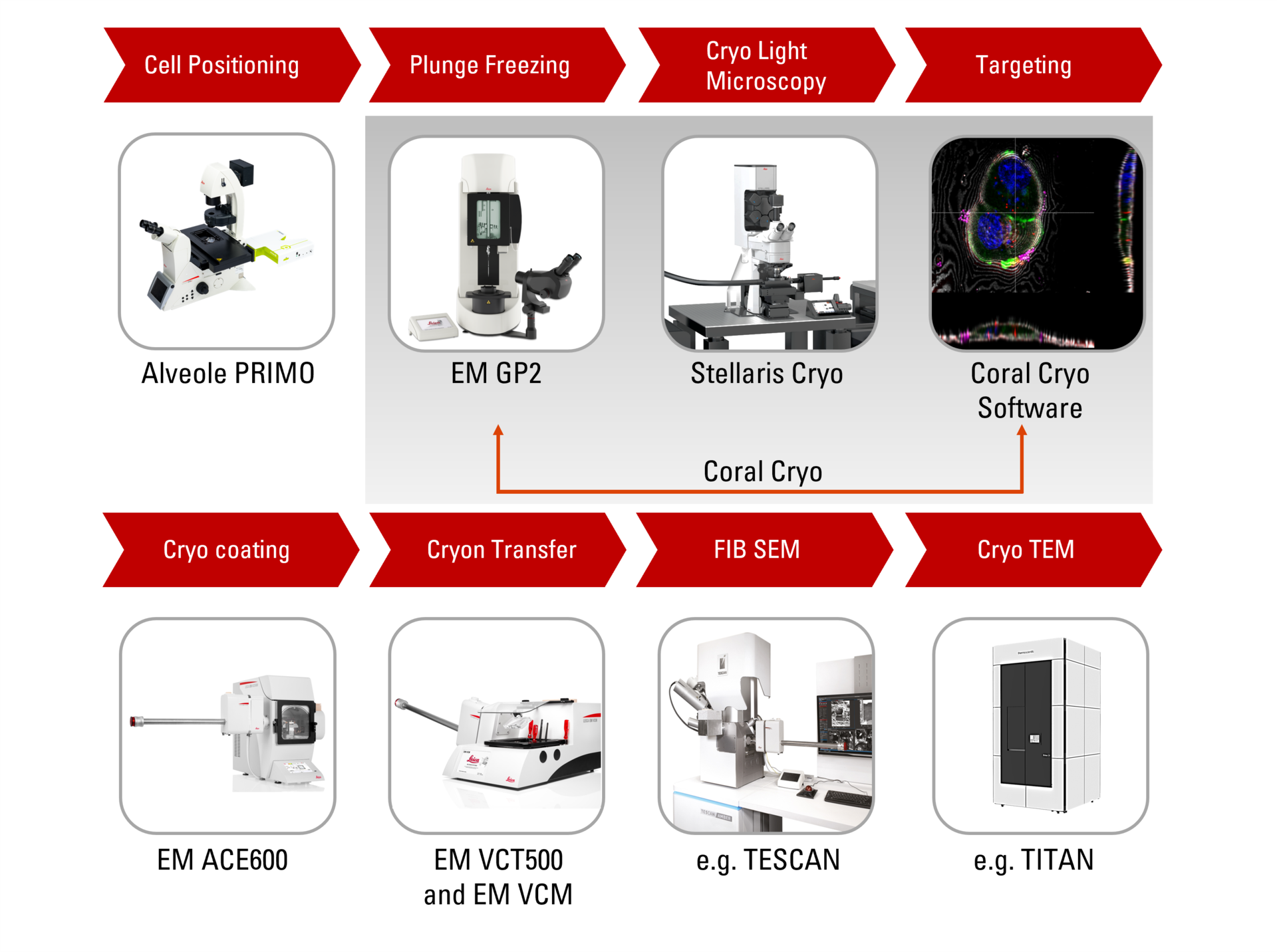 Coral Cryo 3D cryo-electron tomography workflow solution.