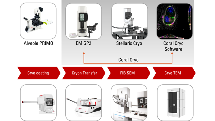 Coral Cryo 3D cryo-electron tomography workflow solution.