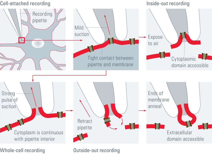 The four recording methods for patch-clamp