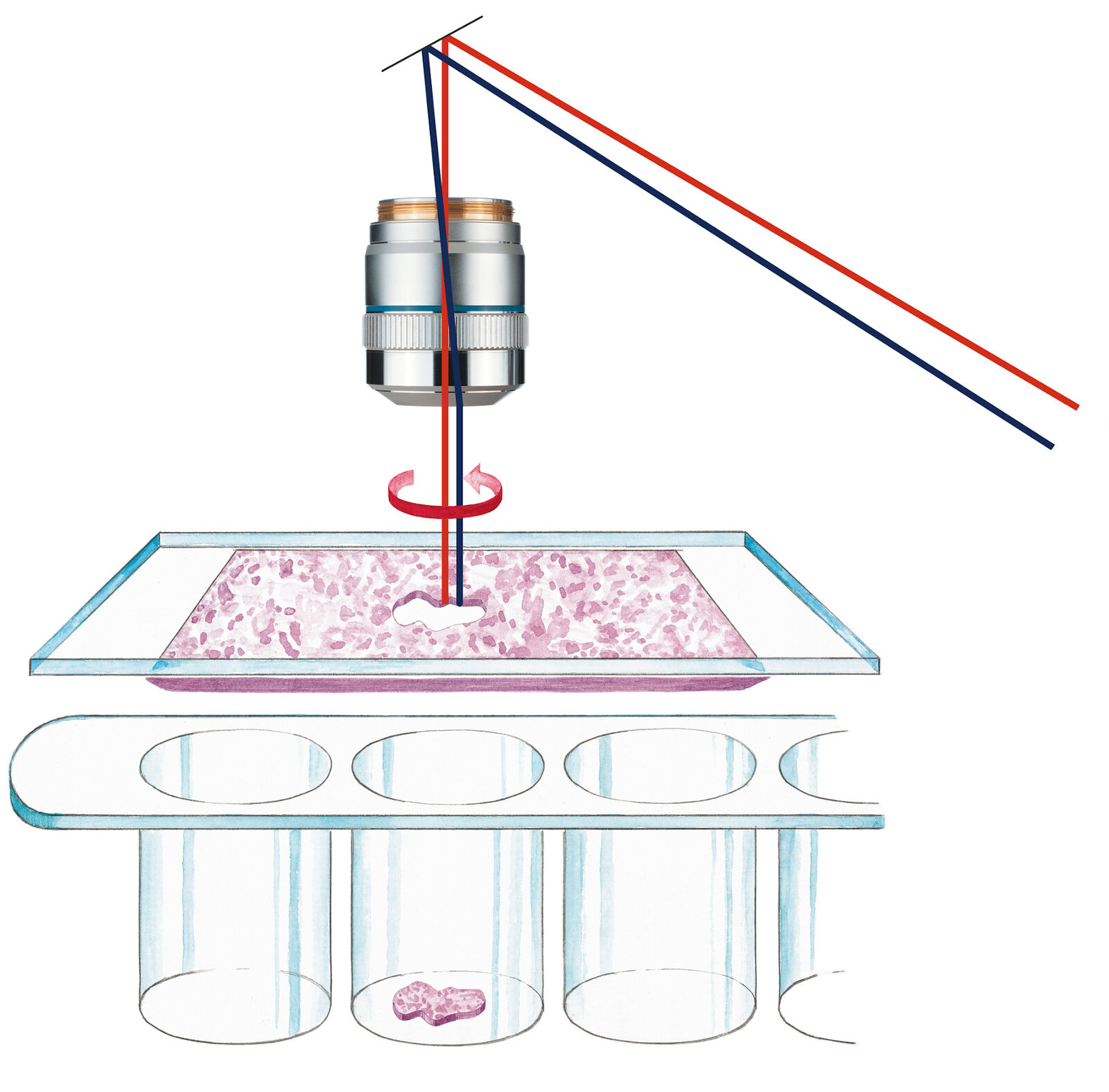 20 Years of Leica Laser Microdissection Science Lab Leica Microsystems