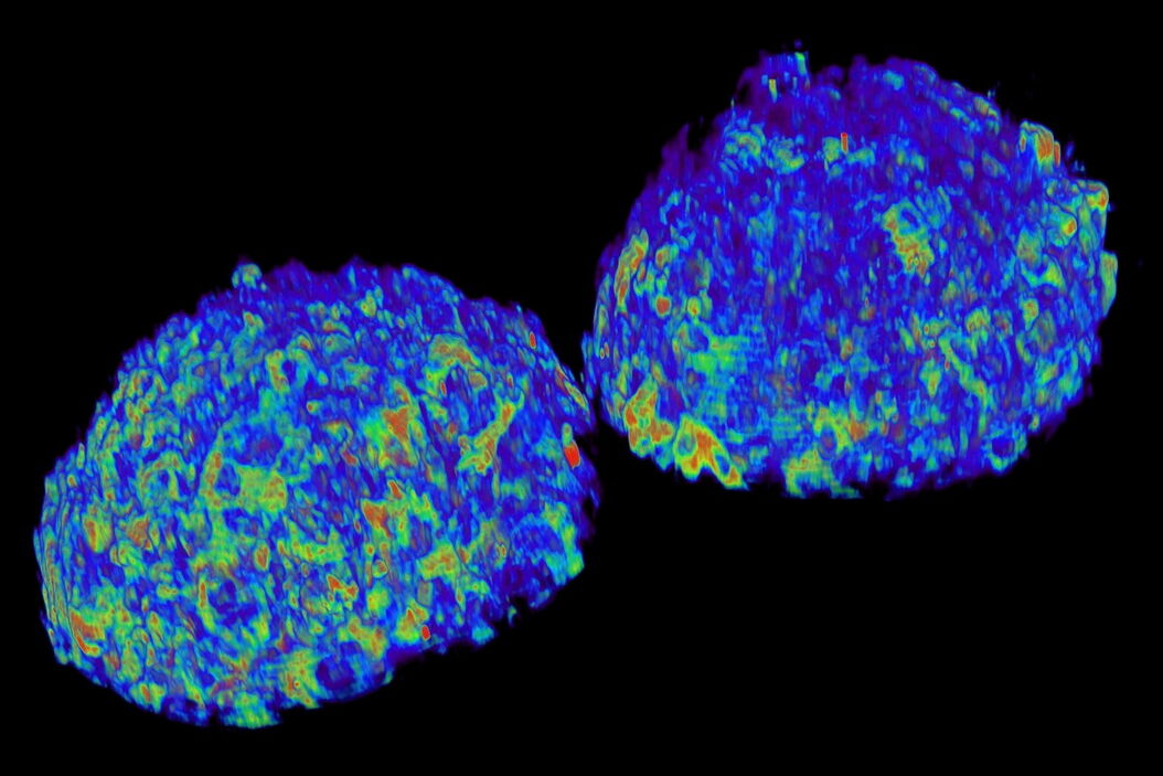 Spheroids of immortalized cells from human taste/tongue papillae (BRAIN Biotech AG). Following_Ca2__changes_in_acutely_stimulated_spheroids_teaser.jpg