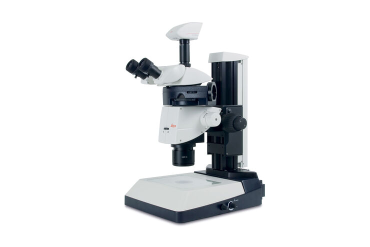 leica stereo zoom microscope