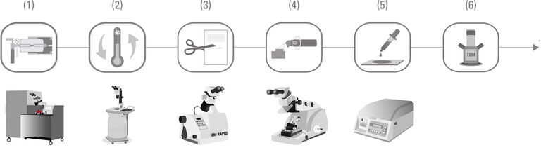 High Pressure Freezing (EM ICE) | Freeze Substitution (EM AFS2) | Trimming (EM RAPID) | Array tomography ultra-thin sectioning (ARTOS 3D) | Staining (EM AC20) | Image analysis in the TEM
