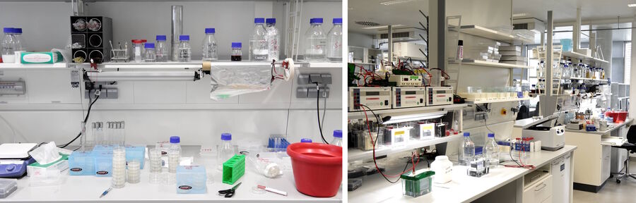 Photos of a well-established C. elegans laboratory (Molecular Microbiology, University of Constance, Germany).