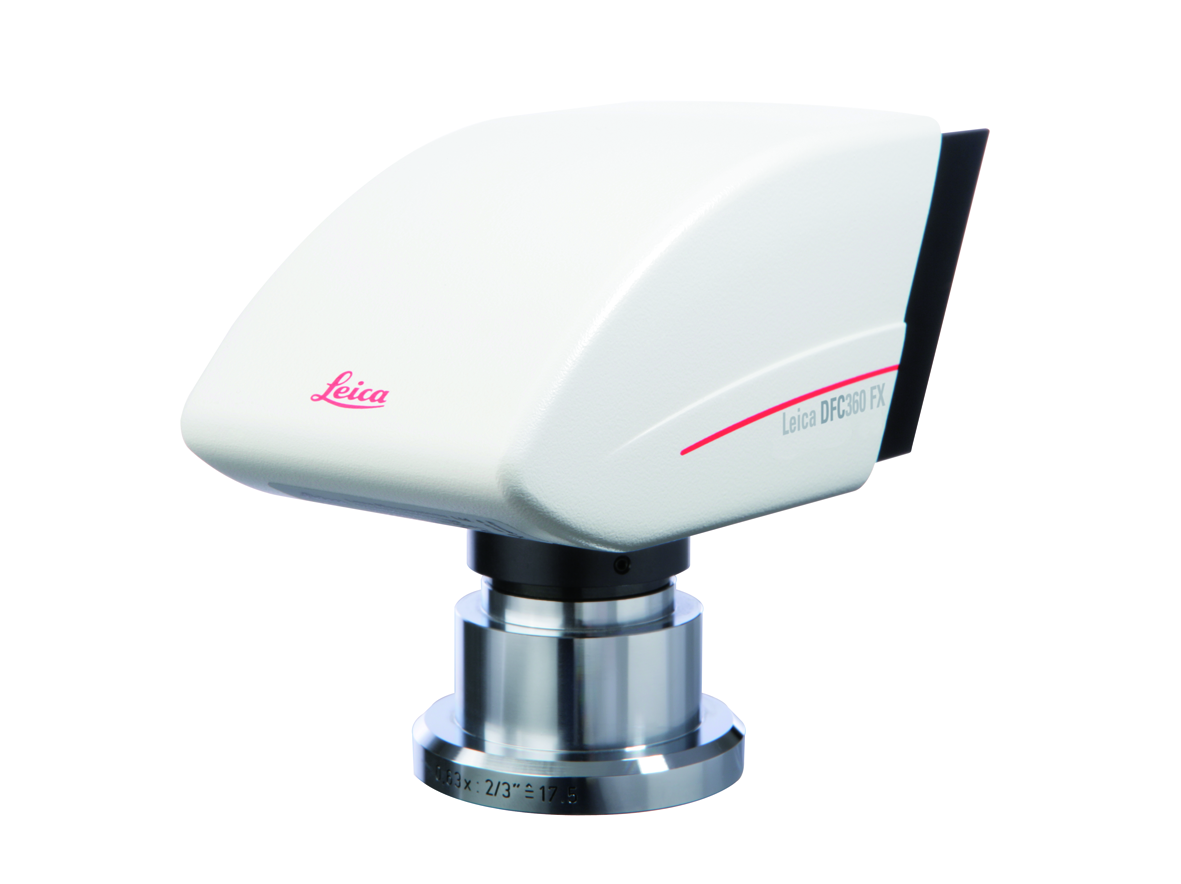 The Leica DFC360 FX provides excellent results in live cell imaging. 
